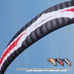 Peter Lynn Kite | Buggy Kite | BuggyKiteShop